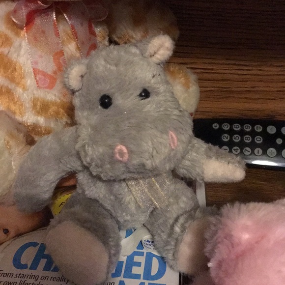 Meet your Posher, Anna - Picture 1 of 1